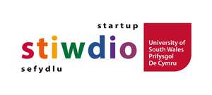 Stiwdio Logo