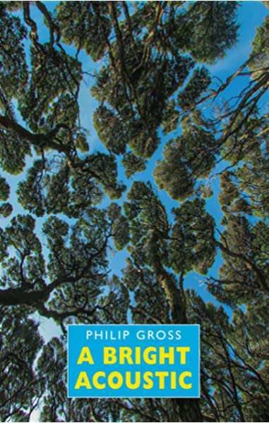 A Bright Acoustic by Philip Gross, Emeritus Professor of English Research