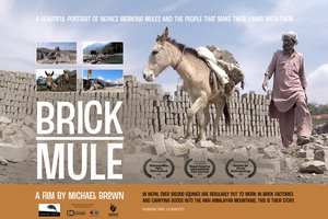 Brick Mule
