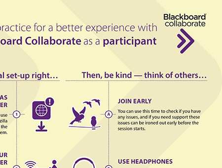 Collaborate Participant.jpg