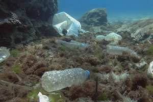 Plastic bottles in the ocean GettyImages-1287574718.jpg