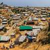 Rohingya refugees - research by Dr Palash Kamruzzaman