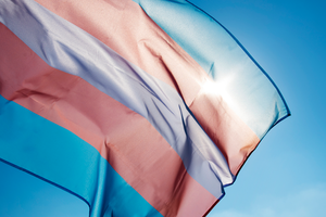 Transgender Day of Visibility flag.png