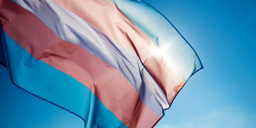 Transgender Day of Visibility flag.png
