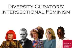 Diversity Curators