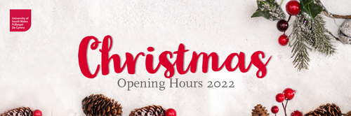 christmas opening hours 2022