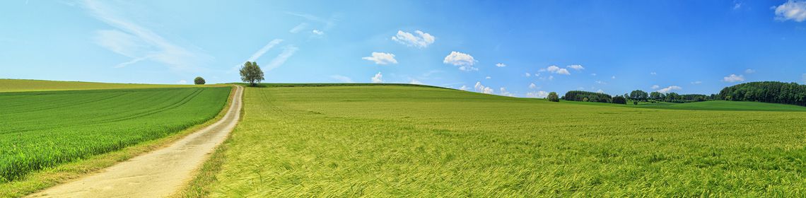 Green Panorama